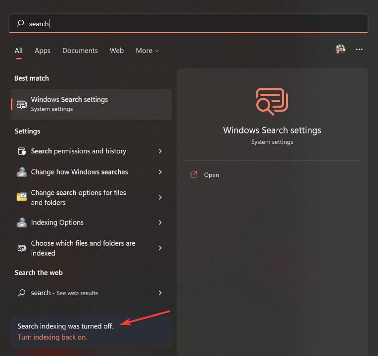 WindowsSearchIndexは無効化エラーです